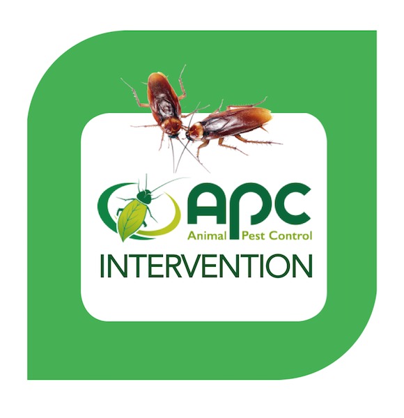 Intervention Insectes rampants 100m2